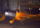 IMGP9611