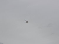 IMG 7715  -->