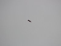 IMG 7763  -->