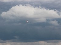 IMG 7825  -->